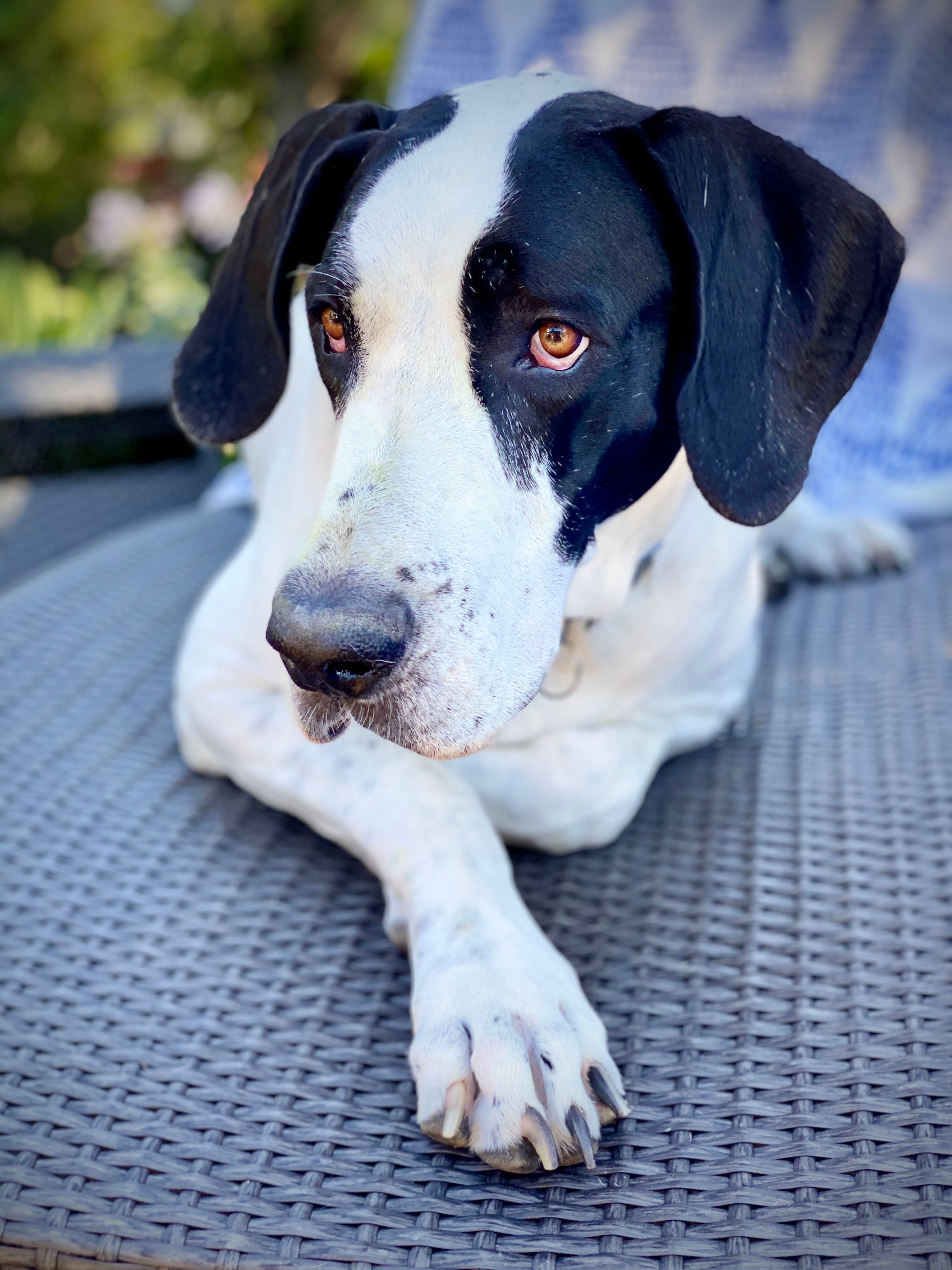 imagen de galeria de 5 elementos