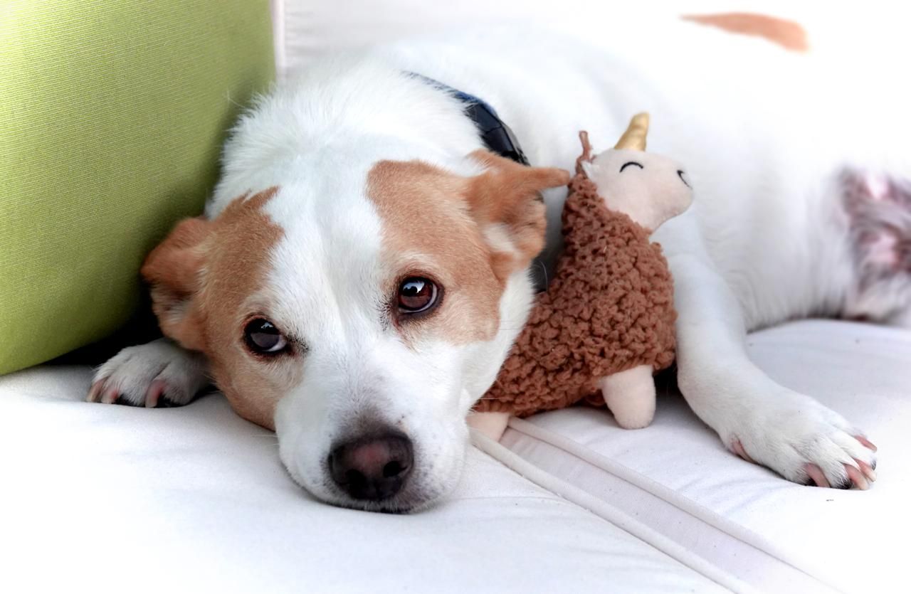 imagen de galeria de 5 elementos