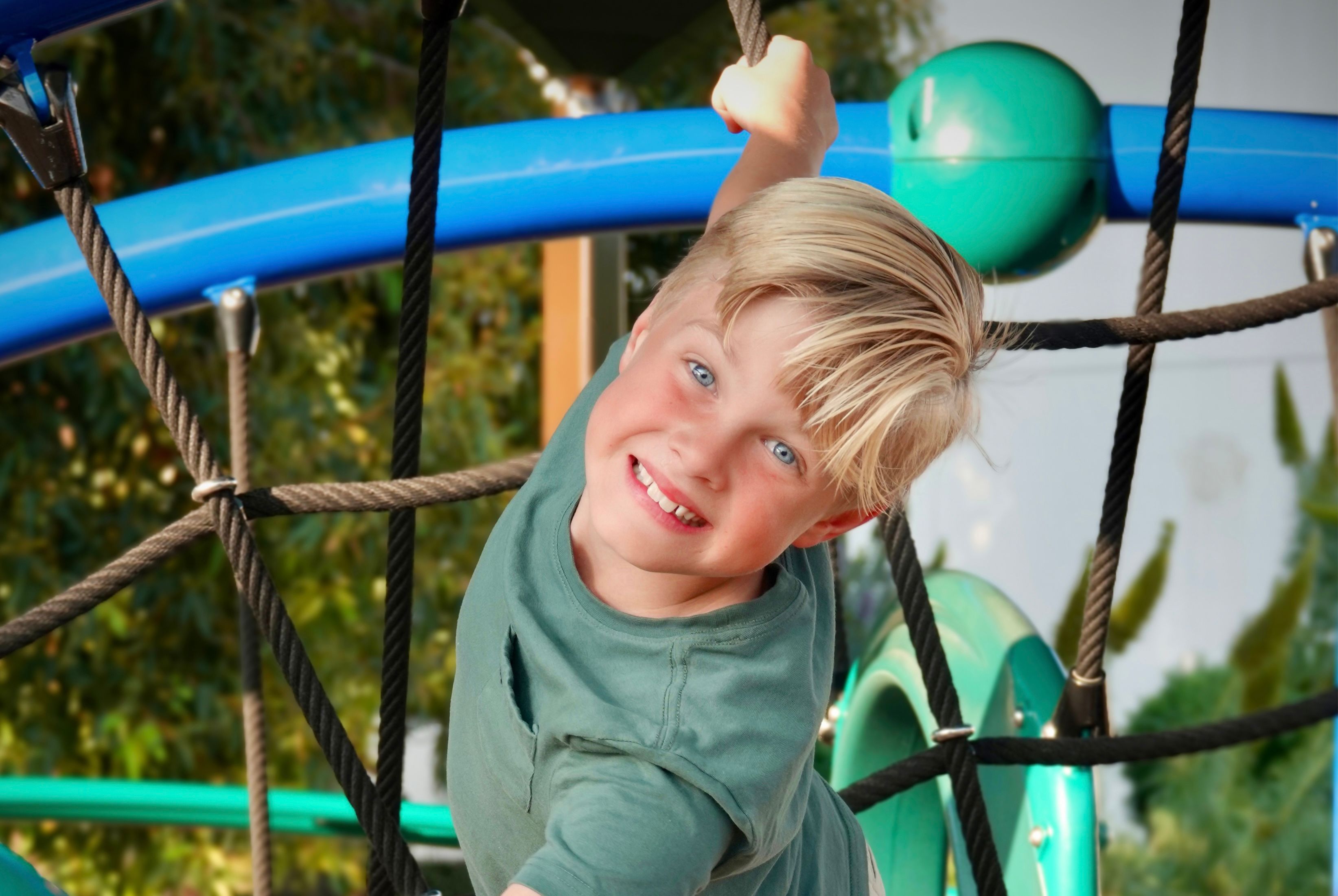 imagen de galeria de 5 elementos