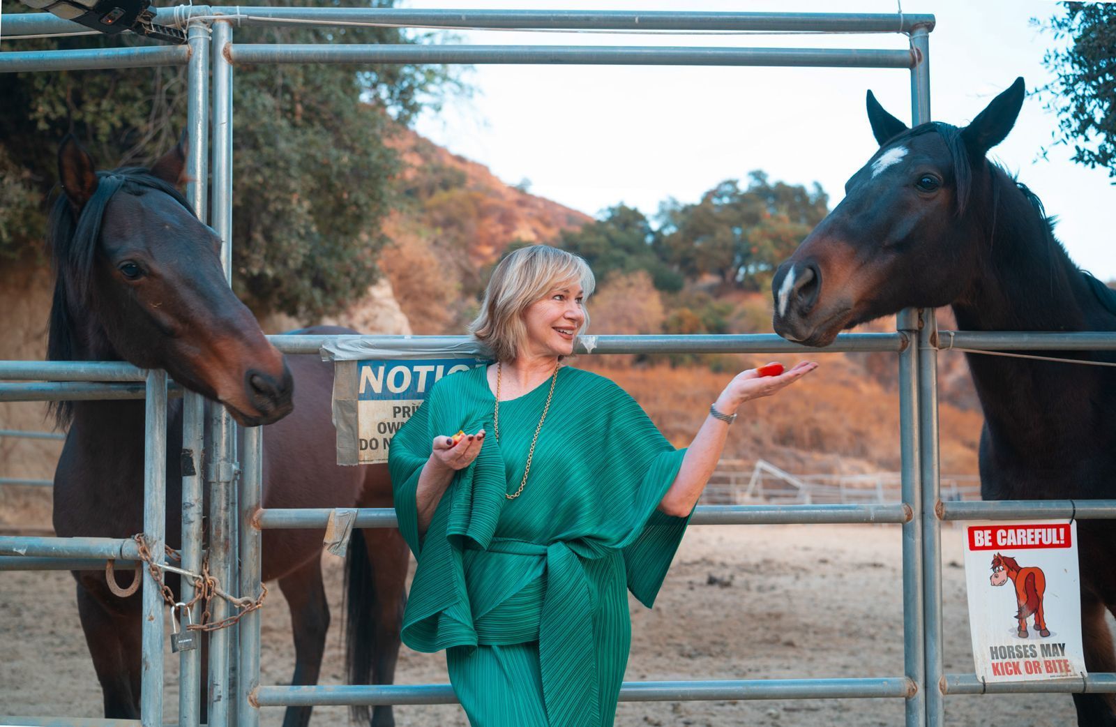 imagen de galeria de 5 elementos