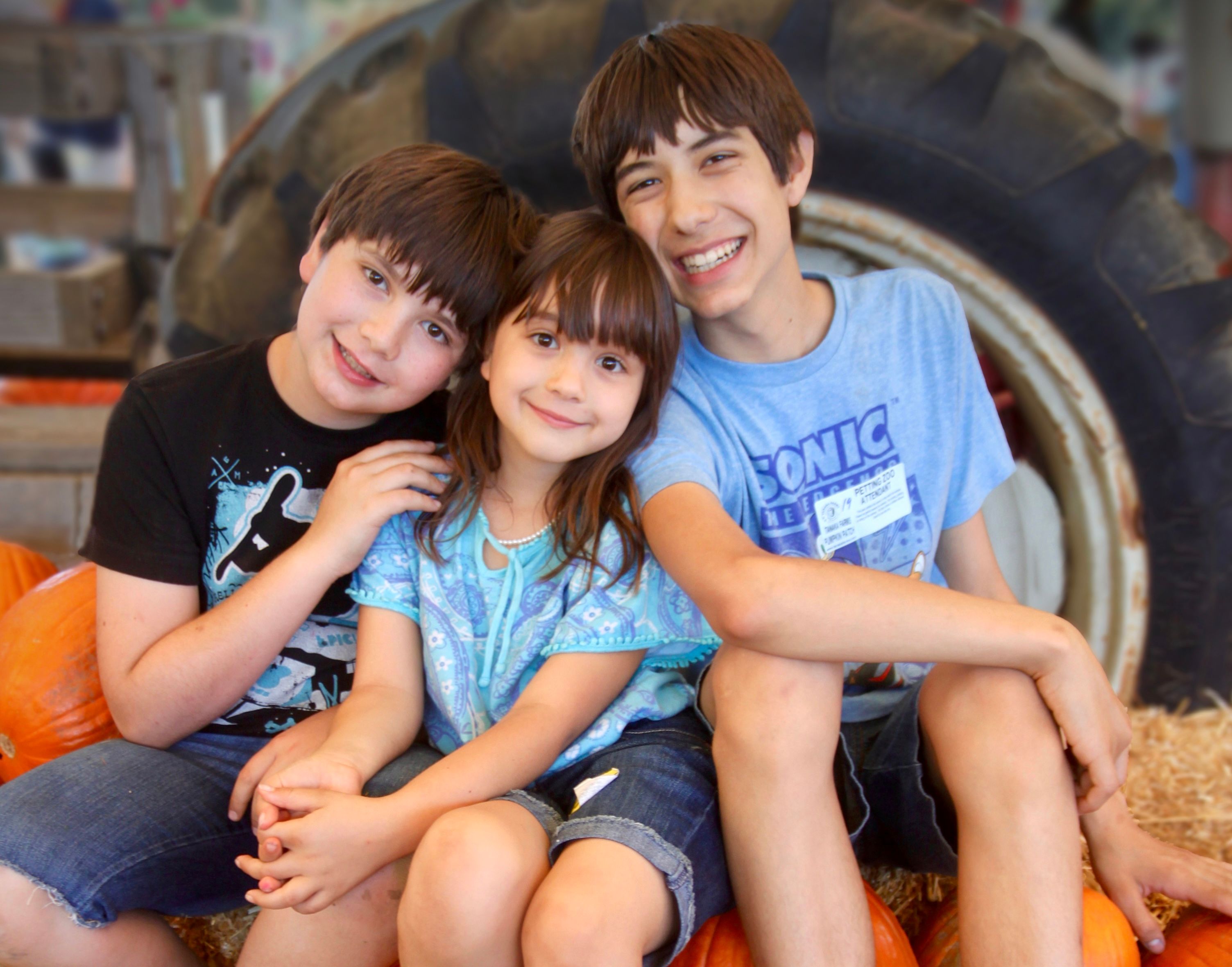 imagen de galeria de 5 elementos