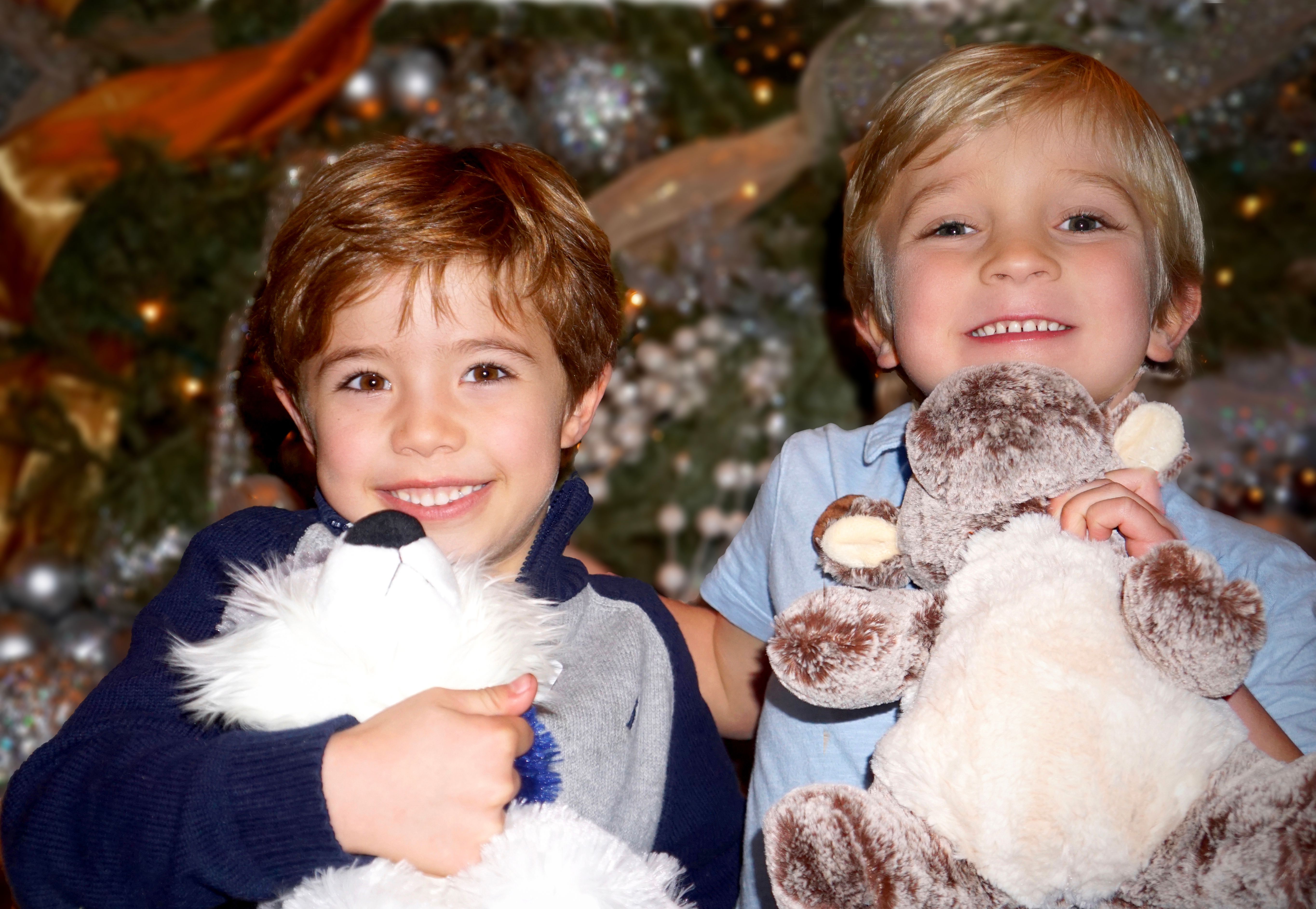 imagen del header de la pagina pricing, es un paisaje