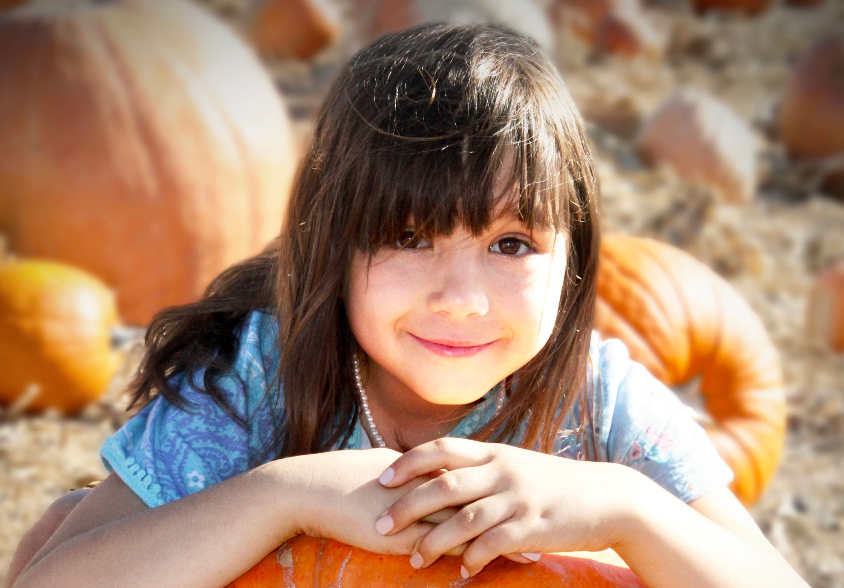 imagen de galeria de 5 elementos