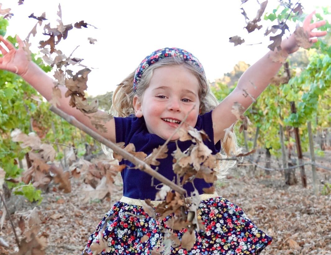 imagen de galeria de 5 elementos