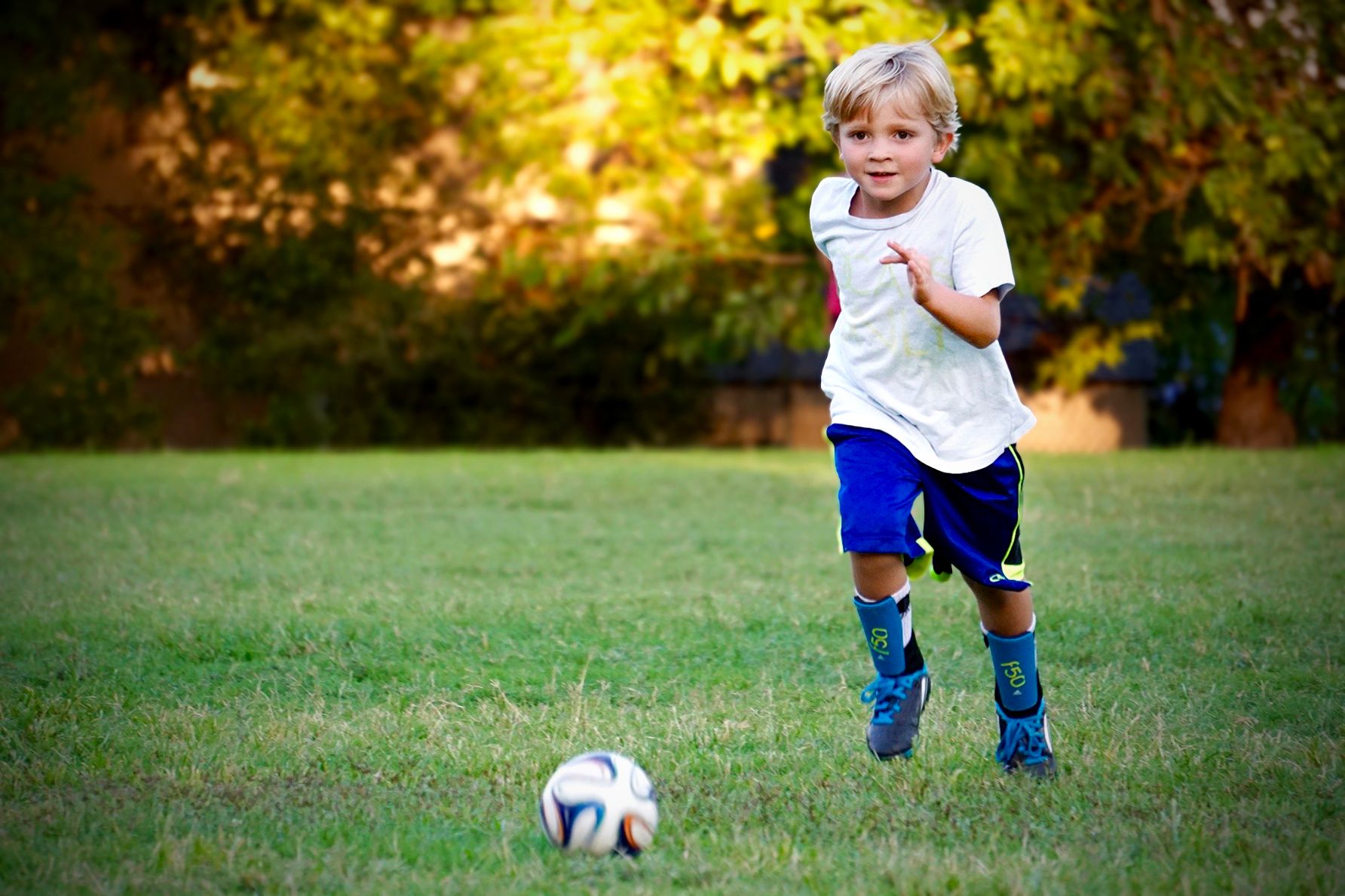 imagen de galeria de 5 elementos